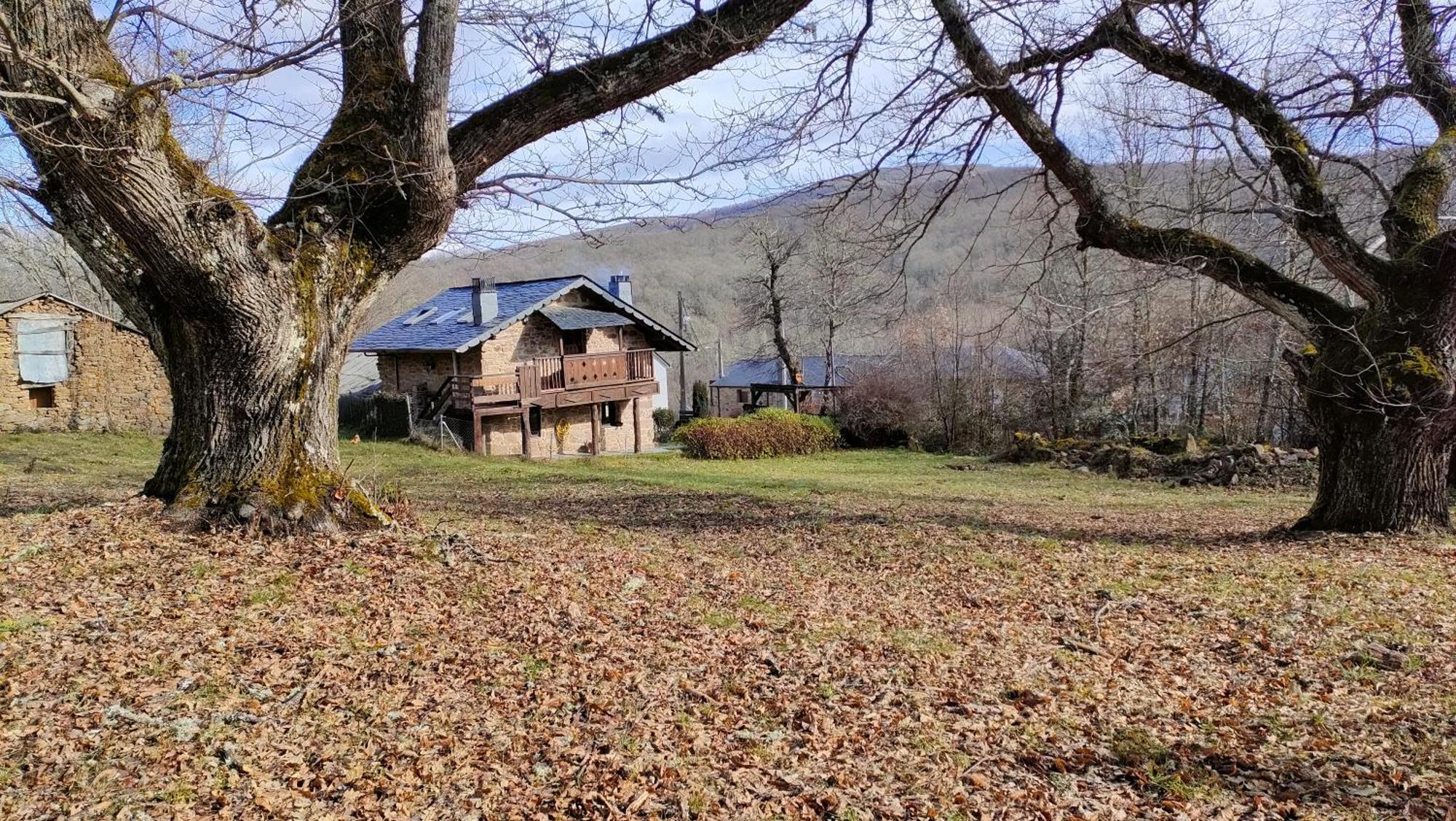 Villarino de Sanabria La Era De Sanabriaヴィラ エクステリア 写真