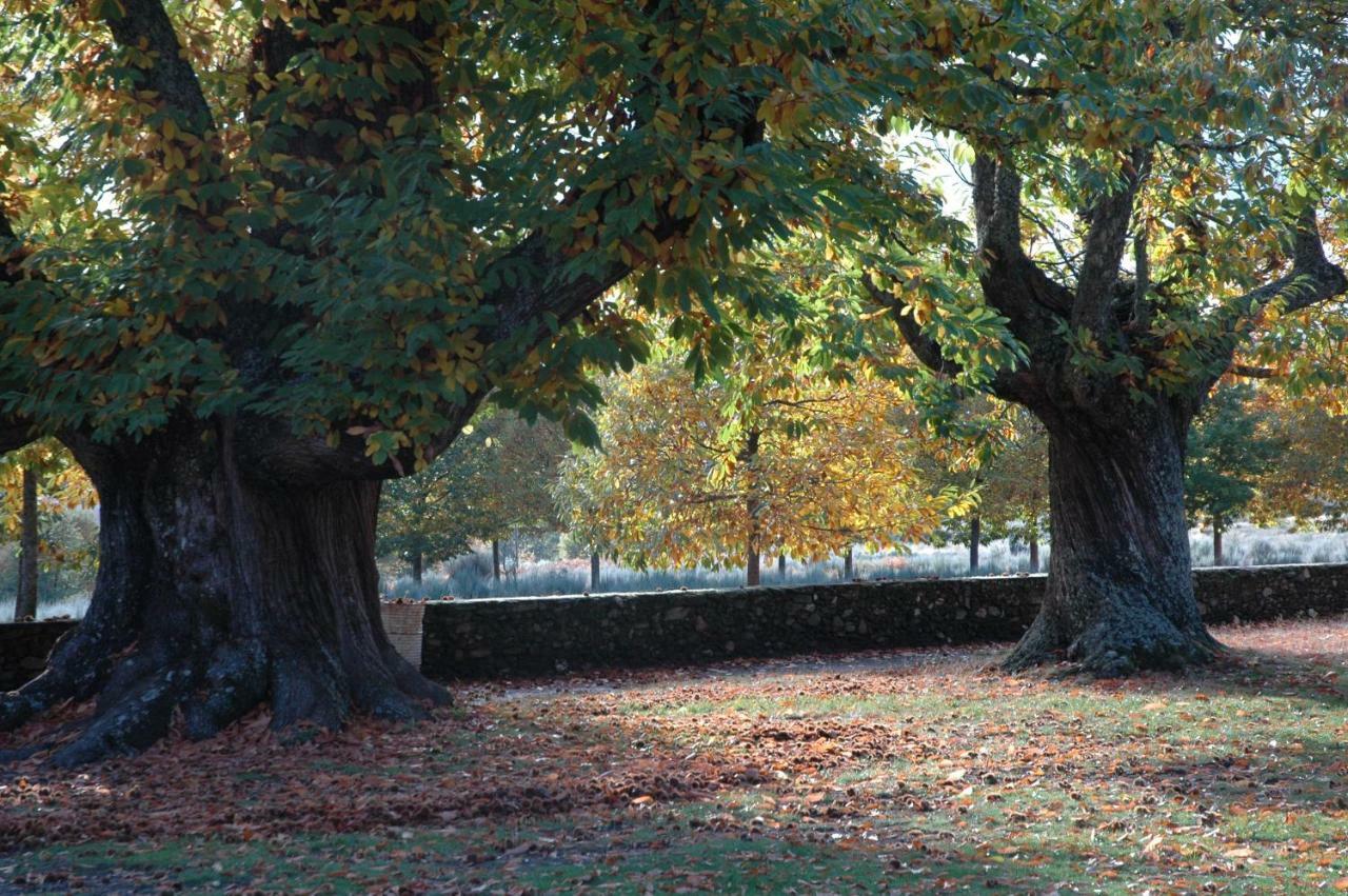 Villarino de Sanabria La Era De Sanabriaヴィラ エクステリア 写真