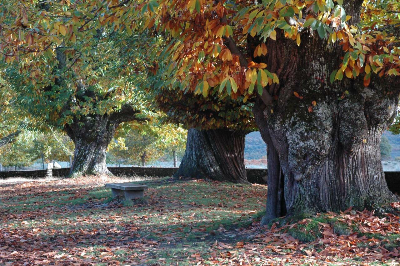 Villarino de Sanabria La Era De Sanabriaヴィラ エクステリア 写真