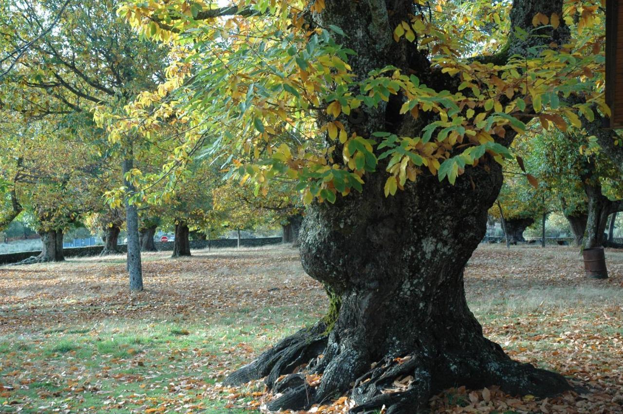 Villarino de Sanabria La Era De Sanabriaヴィラ エクステリア 写真